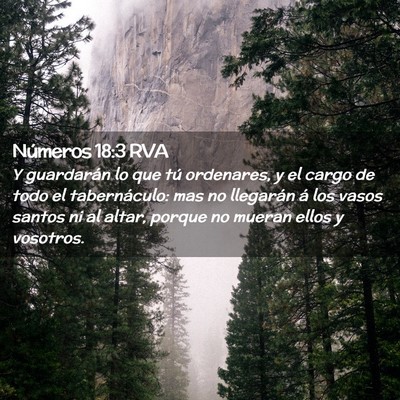 Picture 02 - Números 18:3 RVA - Y guardarán lo que tú ordenares, y el cargo de - Bible Verse Picture