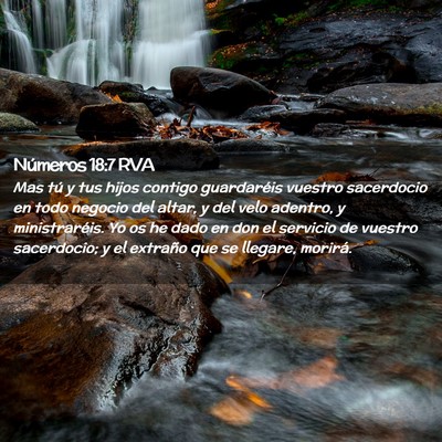 Picture 02 - Números 18:7 RVA - Mas tú y tus hijos contigo guardaréis vuestro - Bible Verse Picture
