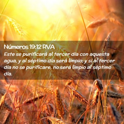 Picture 02 - Números 19:12 RVA - Este se purificará al tercer día con aquesta - Bible Verse Picture