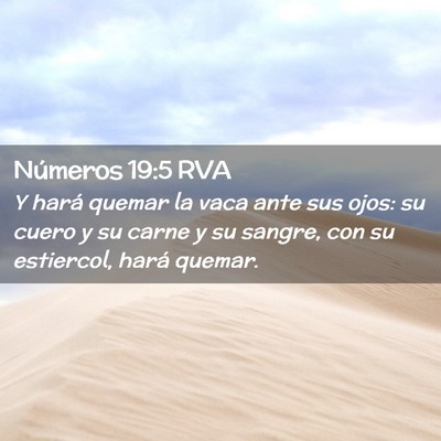 Picture 02 - Números 19:5 RVA - Y hará quemar la vaca ante sus ojos: su cuero y - Bible Verse Picture