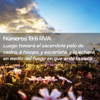 Picture 02 - Números 19:6 RVA - Luego tomará el sacerdote palo de cedro, é - Bible Verse Picture