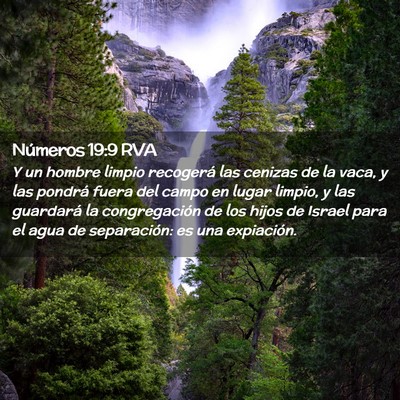 Picture 02 - Números 19:9 RVA - Y un hombre limpio recogerá las cenizas de la - Bible Verse Picture