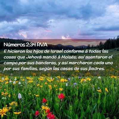 Picture 02 - Números 2:34 RVA - E hicieron los hijos de Israel conforme á todas - Bible Verse Picture
