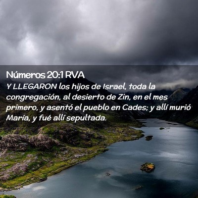 Picture 02 - Números 20:1 RVA - Y LLEGARON los hijos de Israel, toda la - Bible Verse Picture