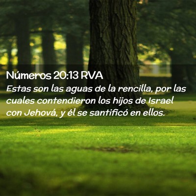 Picture 02 - Números 20:13 RVA - Estas son las aguas de la rencilla, por las - Bible Verse Picture