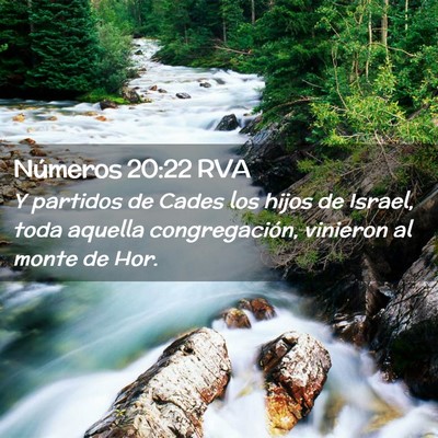 Picture 02 - Números 20:22 RVA - Y partidos de Cades los hijos de Israel, toda - Bible Verse Picture