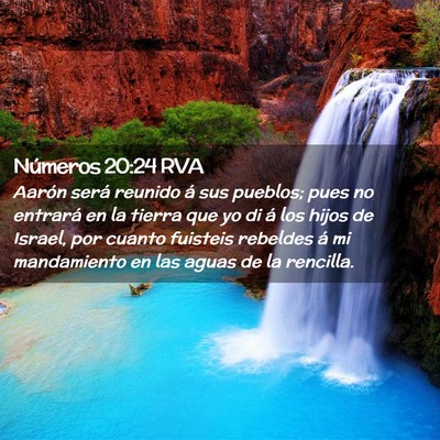 Picture 02 - Números 20:24 RVA - Aarón será reunido á sus pueblos; pues no - Bible Verse Picture