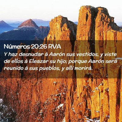 Picture 02 - Números 20:26 RVA - Y haz desnudar á Aarón sus vestidos, y viste de - Bible Verse Picture