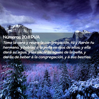 Picture 02 - Números 20:8 RVA - Toma la vara y reune la congregación, tú y - Bible Verse Picture