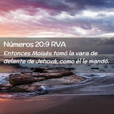 Picture 02 - Números 20:9 RVA - Entonces Moisés tomó la vara de delante de - Bible Verse Picture