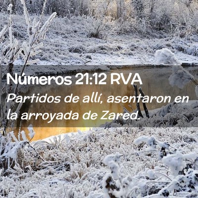 Picture 02 - Números 21:12 RVA - Partidos de allí, asentaron en la arroyada de - Bible Verse Picture