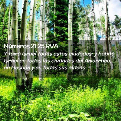 Picture 02 - Números 21:25 RVA - Y tomó Israel todas estas ciudades: y habitó - Bible Verse Picture