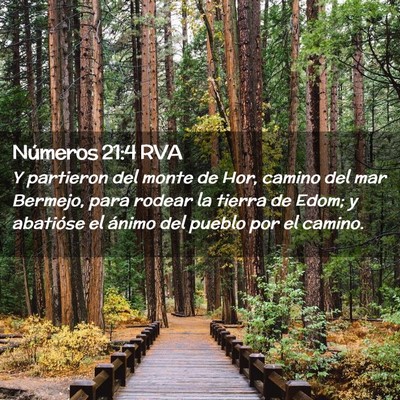 Picture 02 - Números 21:4 RVA - Y partieron del monte de Hor, camino del mar - Bible Verse Picture