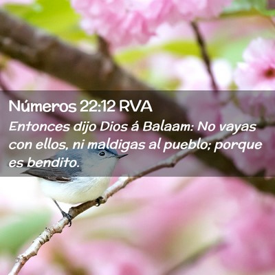 Picture 02 - Números 22:12 RVA - Entonces dijo Dios á Balaam: No vayas con ellos, - Bible Verse Picture