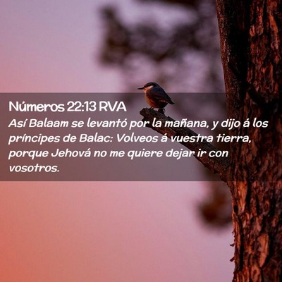 Picture 02 - Números 22:13 RVA - Así Balaam se levantó por la mañana, y dijo á - Bible Verse Picture