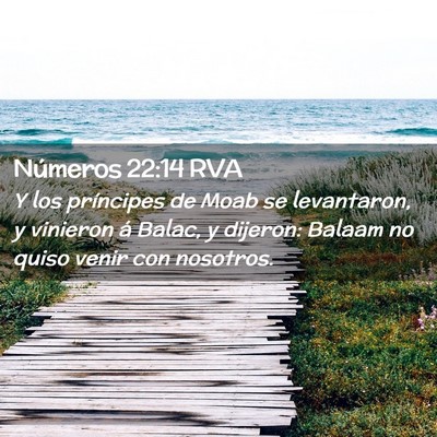 Picture 02 - Números 22:14 RVA - Y los príncipes de Moab se levantaron, y - Bible Verse Picture