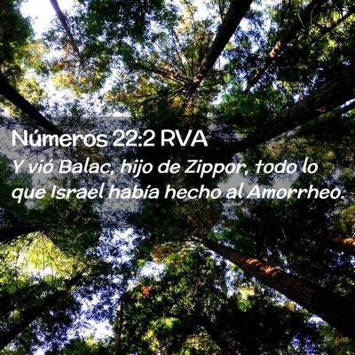 Picture 02 - Números 22:2 RVA - Y vió Balac, hijo de Zippor, todo lo que Israel - Bible Verse Picture