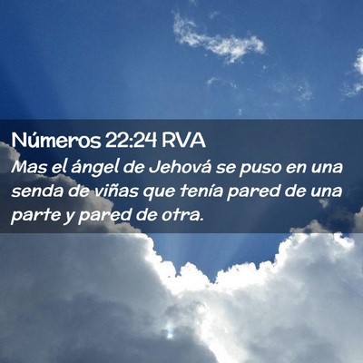 Picture 02 - Números 22:24 RVA - Mas el ángel de Jehová se puso en una senda de - Bible Verse Picture