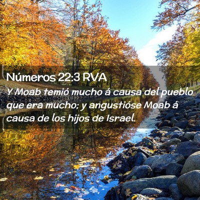 Picture 02 - Números 22:3 RVA - Y Moab temió mucho á causa del pueblo que era - Bible Verse Picture