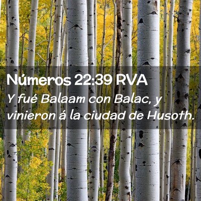 Picture 02 - Números 22:39 RVA - Y fué Balaam con Balac, y vinieron á la ciudad - Bible Verse Picture