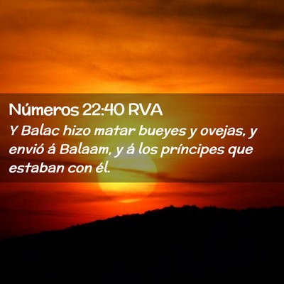 Picture 02 - Números 22:40 RVA - Y Balac hizo matar bueyes y ovejas, y envió á - Bible Verse Picture