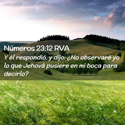 Picture 02 - Números 23:12 RVA - Y él respondió, y dijo: ¿No observaré yo lo - Bible Verse Picture