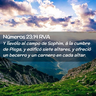 Picture 02 - Números 23:14 RVA - Y llevólo al campo de Sophim, á la cumbre de - Bible Verse Picture