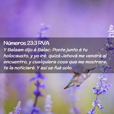 Picture 02 - Números 23:3 RVA - Y Balaam dijo á Balac: Ponte junto á tu - Bible Verse Picture