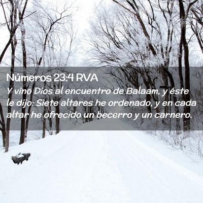 Picture 02 - Números 23:4 RVA - Y vino Dios al encuentro de Balaam, y éste le - Bible Verse Picture