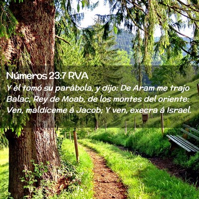 Picture 02 - Números 23:7 RVA - Y él tomó su parábola, y dijo: De Aram me - Bible Verse Picture