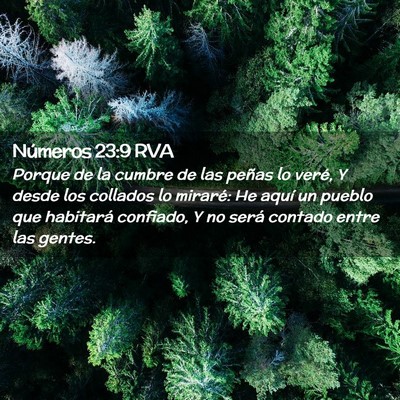 Picture 02 - Números 23:9 RVA - Porque de la cumbre de las peñas lo veré, Y - Bible Verse Picture