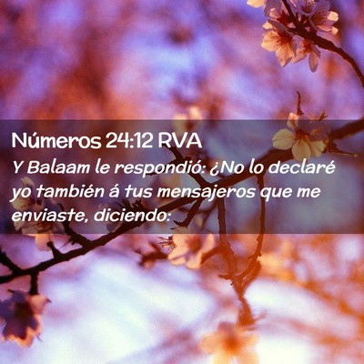 Picture 02 - Números 24:12 RVA - Y Balaam le respondió: ¿No lo declaré yo - Bible Verse Picture