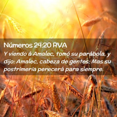 Picture 02 - Números 24:20 RVA - Y viendo á Amalec, tomó su parábola, y dijo: - Bible Verse Picture