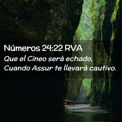 Picture 02 - Números 24:22 RVA - Que el Cineo será echado, Cuando Assur te - Bible Verse Picture