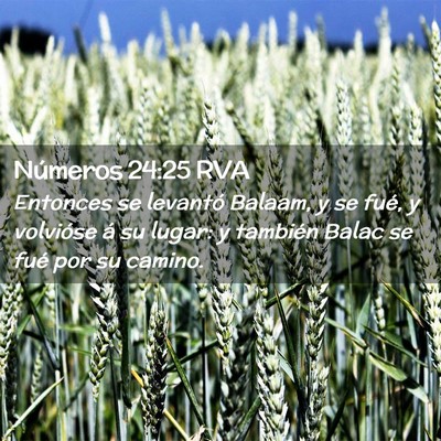 Picture 02 - Números 24:25 RVA - Entonces se levantó Balaam, y se fué, y - Bible Verse Picture