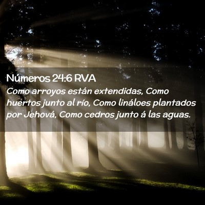 Picture 02 - Números 24:6 RVA - Como arroyos están extendidas, Como huertos - Bible Verse Picture