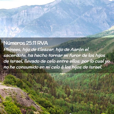 Picture 02 - Números 25:11 RVA - Phinees, hijo de Eleazar, hijo de Aarón el - Bible Verse Picture