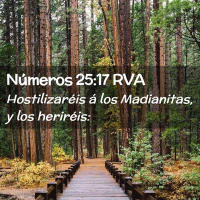 Picture 02 - Números 25:17 RVA - Hostilizaréis á los Madianitas, y los - Bible Verse Picture
