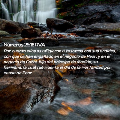 Picture 02 - Números 25:18 RVA - Por cuanto ellos os afligieron á vosotros con - Bible Verse Picture