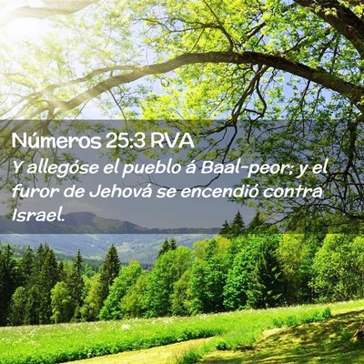 Picture 02 - Números 25:3 RVA - Y allegóse el pueblo á Baal-peor; y el furor de - Bible Verse Picture