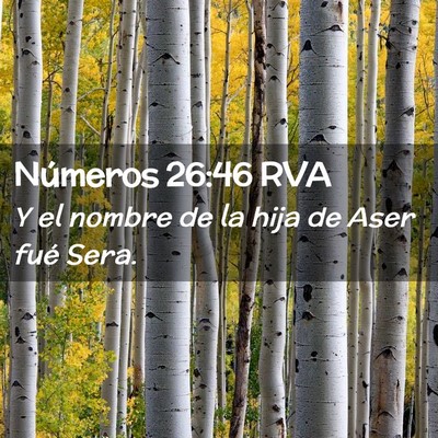 Picture 02 - Números 26:46 RVA - Y el nombre de la hija de Aser fué - Bible Verse Picture