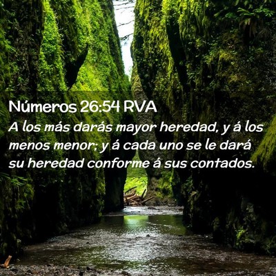 Picture 02 - Números 26:54 RVA - A los más darás mayor heredad, y á los menos - Bible Verse Picture