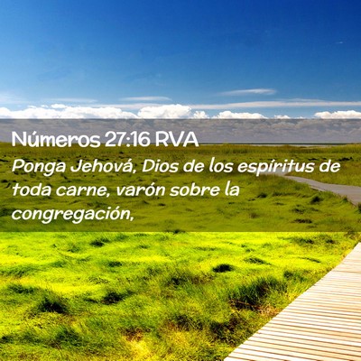 Picture 02 - Números 27:16 RVA - Ponga Jehová, Dios de los espíritus de toda - Bible Verse Picture