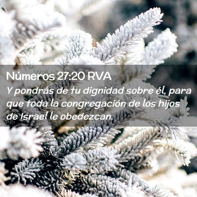 Picture 02 - Números 27:20 RVA - Y pondrás de tu dignidad sobre él, para que - Bible Verse Picture