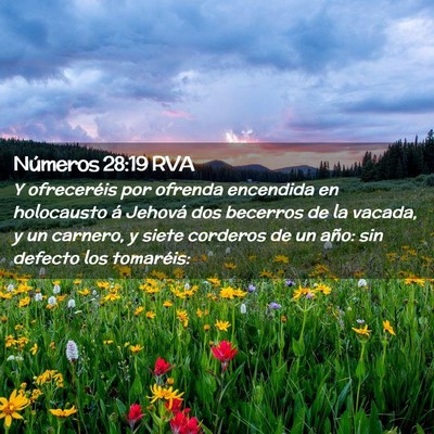 Picture 02 - Números 28:19 RVA - Y ofreceréis por ofrenda encendida en holocausto - Bible Verse Picture