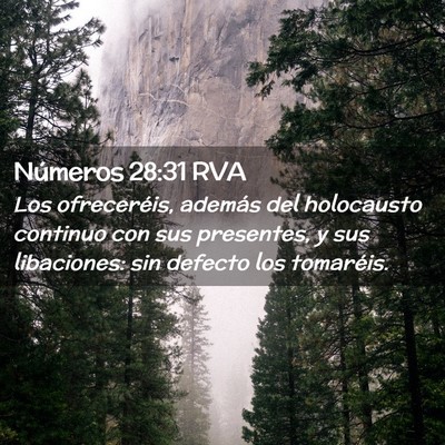 Picture 02 - Números 28:31 RVA - Los ofreceréis, además del holocausto continuo - Bible Verse Picture