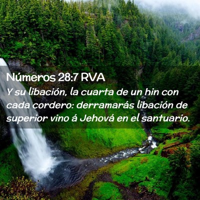 Picture 02 - Números 28:7 RVA - Y su libación, la cuarta de un hin con cada - Bible Verse Picture