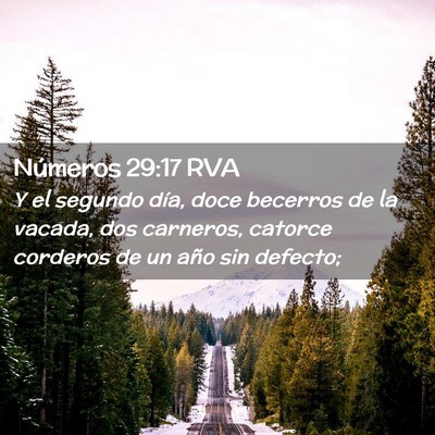 Picture 02 - Números 29:17 RVA - Y el segundo día, doce becerros de la vacada, - Bible Verse Picture