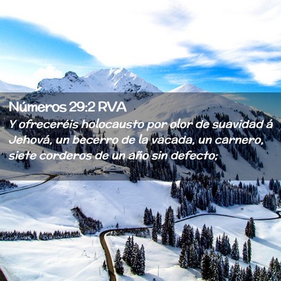 Picture 02 - Números 29:2 RVA - Y ofreceréis holocausto por olor de suavidad á - Bible Verse Picture