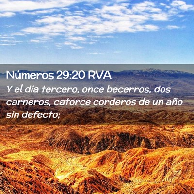 Picture 02 - Números 29:20 RVA - Y el día tercero, once becerros, dos carneros, - Bible Verse Picture